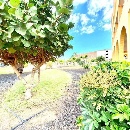 Apartmán Apartamento Vista A La Piscina, Cerca De Playa, Tenerife Sur *